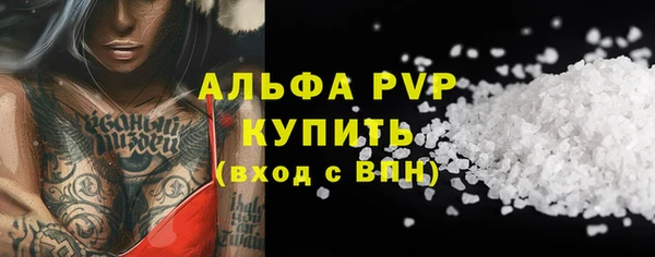 spice Осинники