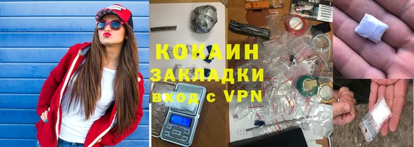 прущие грибы Абинск